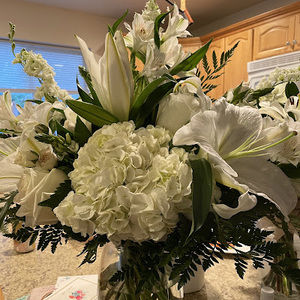 Meet your Posher, Demitria